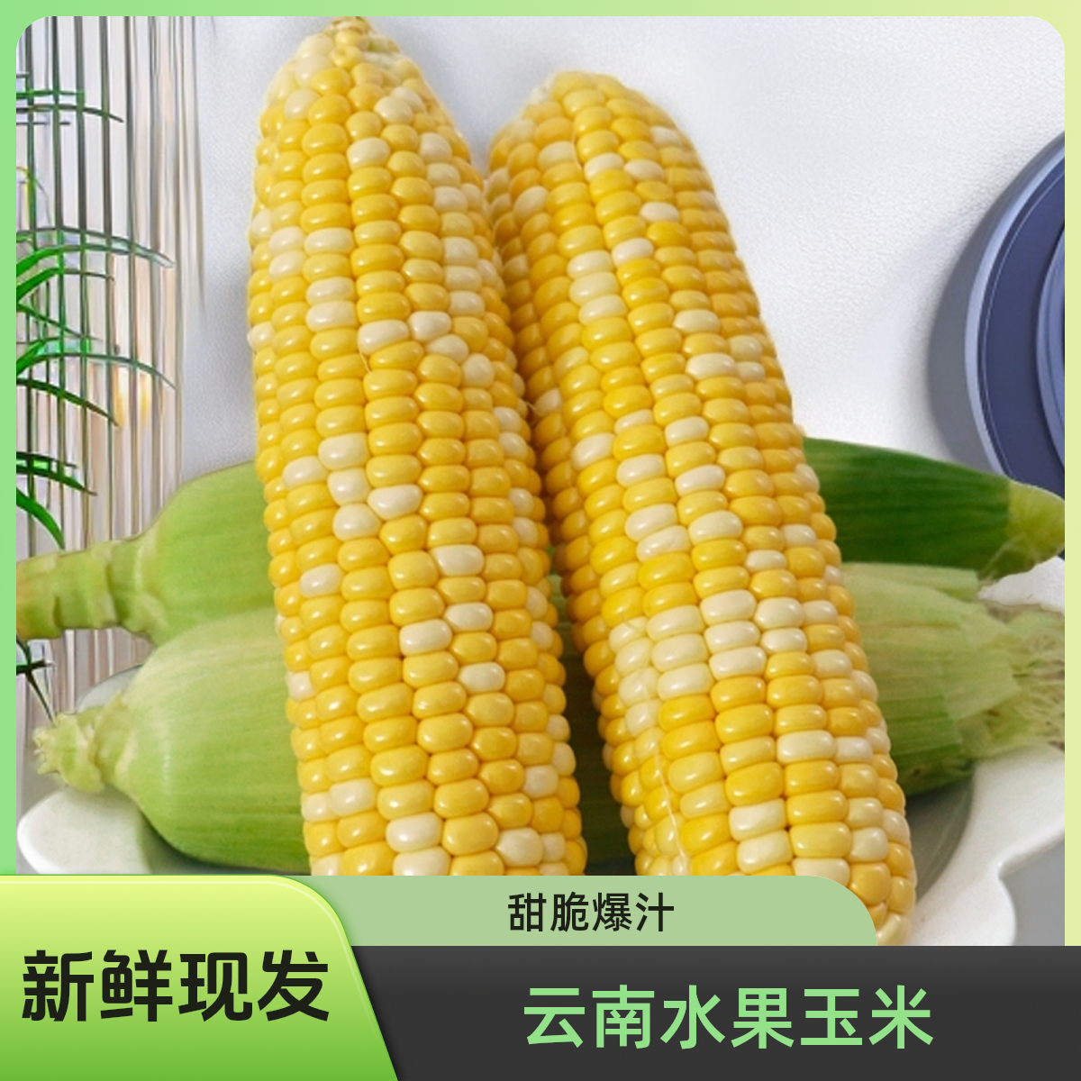 【精品】新鲜脆嫩榨汁应季蔬菜低脂代餐食品云南金银双色甜水果玉米