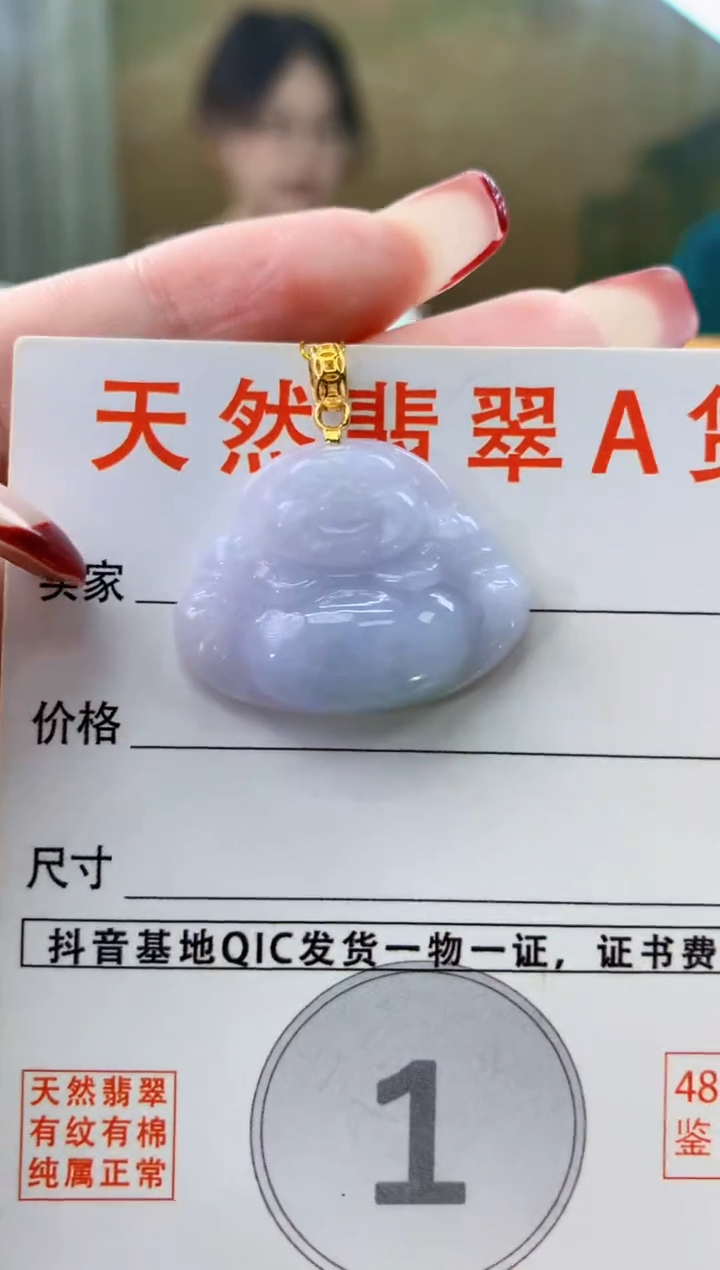 颈饰未镶嵌翡翠天然A货翡翠挂件