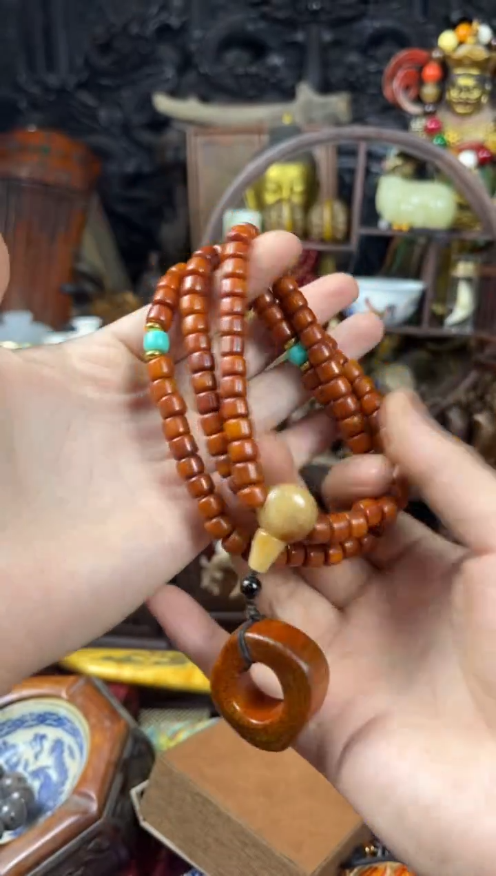 香榧木103（收到货任何问题联系客服）