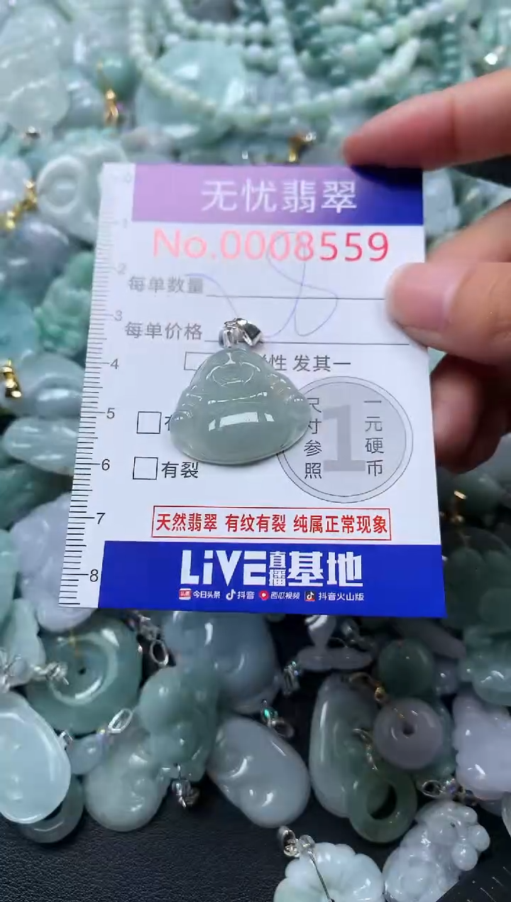 颈饰未镶嵌翡翠8559