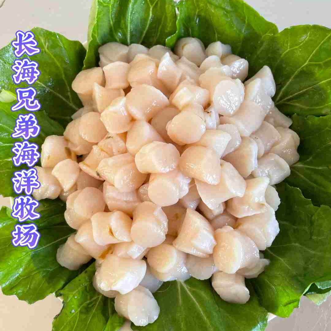 《广鹿岛》鲜栉孔贝丁（原浆）活体现扣顺丰包邮速冻发货180~230头/斤