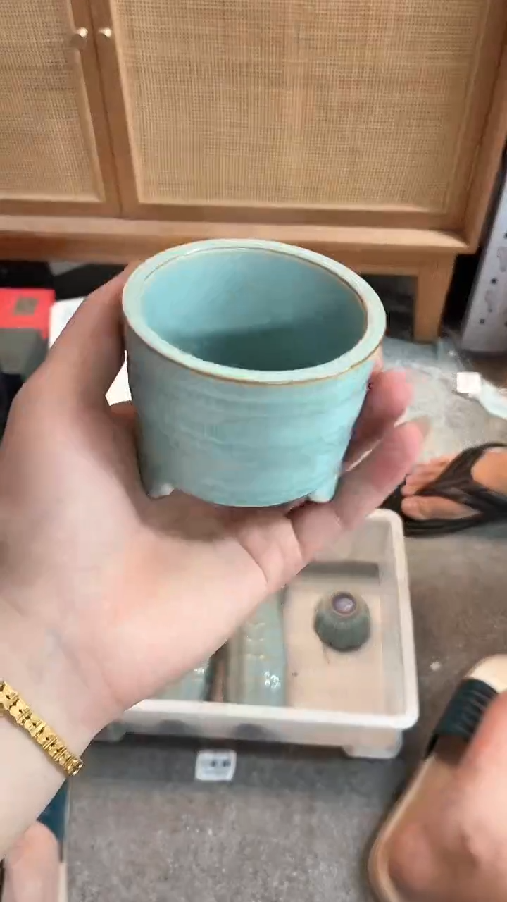 闪购商品闪购商品@@CC6620