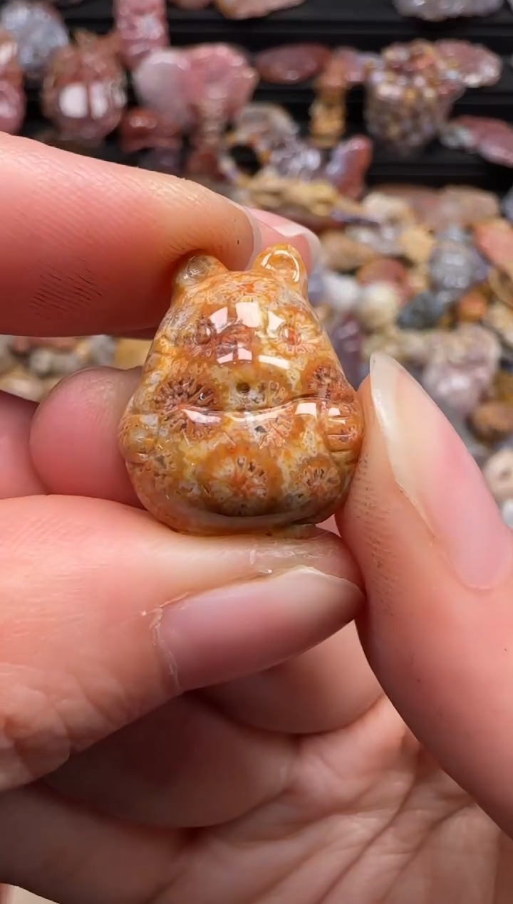 【闪购商品】硅化珊瑚（珊瑚玉）颈饰未镶嵌366