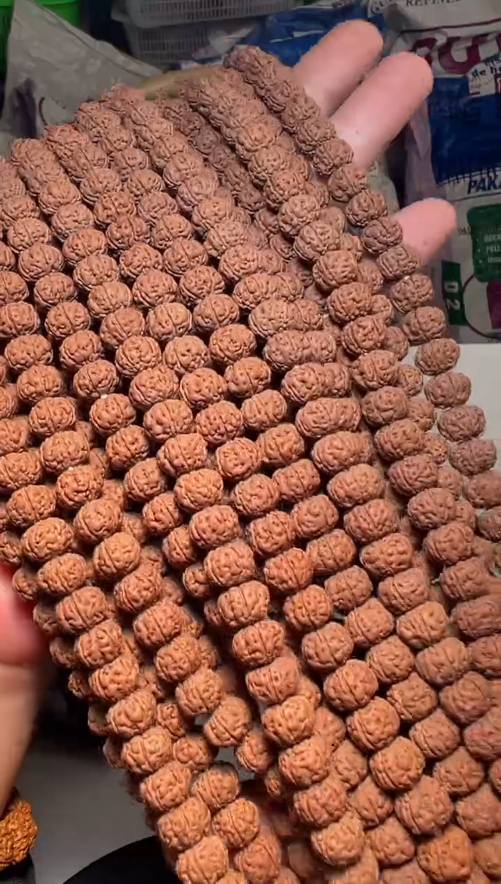 手串金刚菩提无利润超头精挑老树王108-10mm