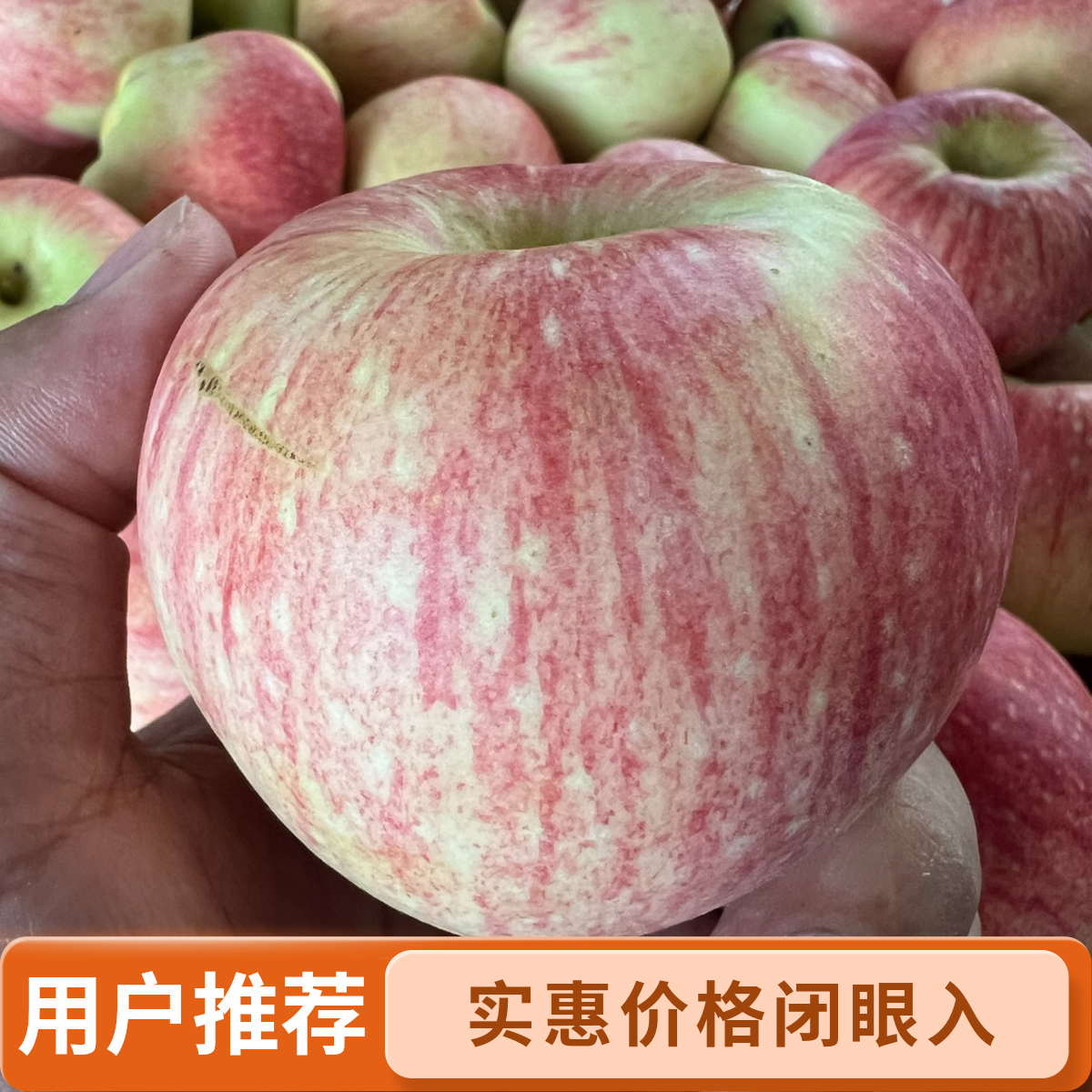 农小匠伏苹果新鲜水果纯甜无酸孕妇宝辅食非王林莫里斯苹果