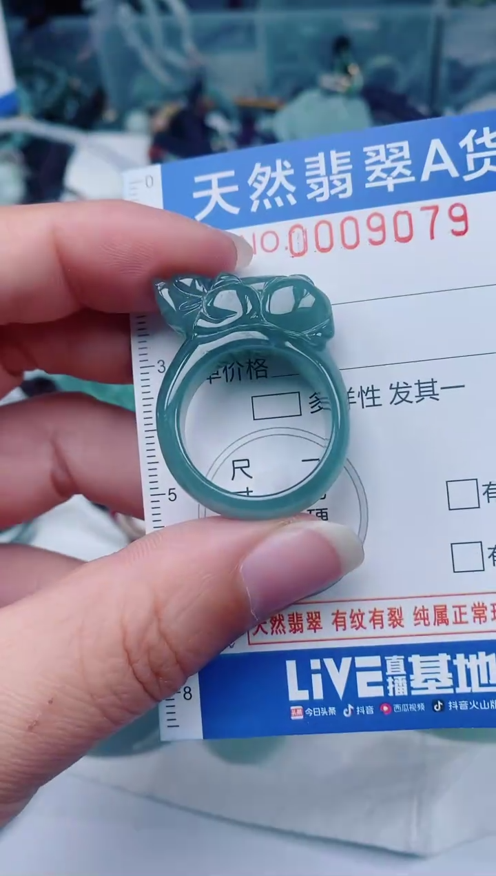 颈饰未镶嵌翡翠00009079