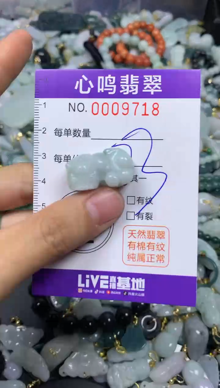 【闪购商品】翡翠颈饰未镶嵌闪购009718