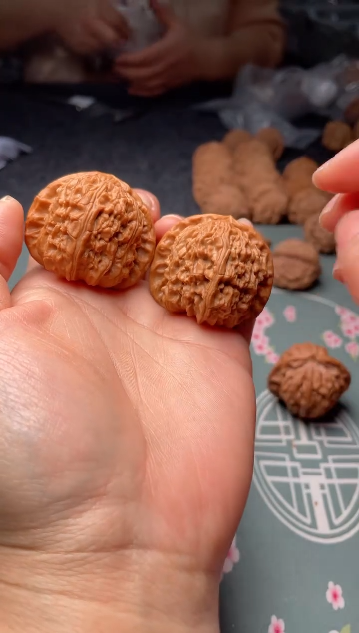 把件文玩核桃w179  白狮子 40尺