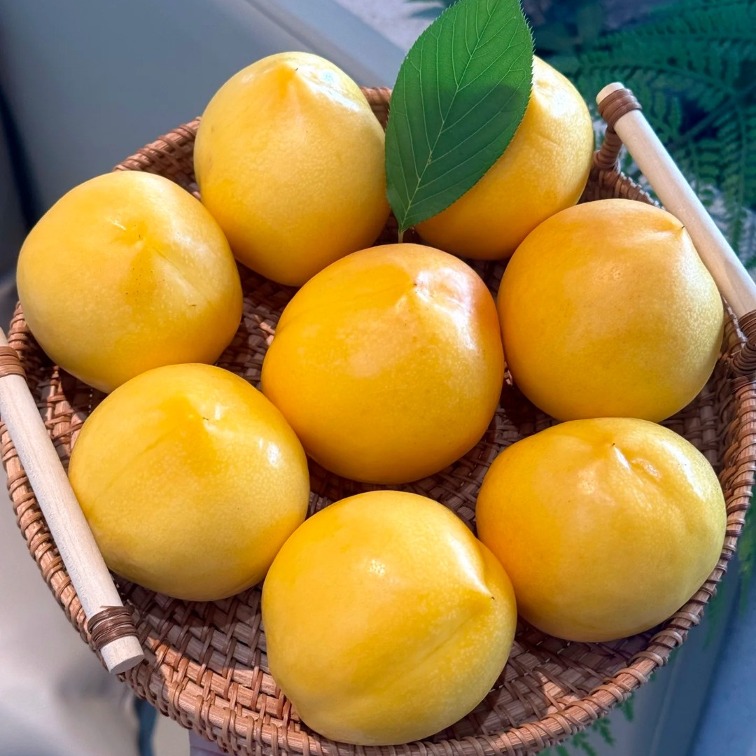 乡村农家种植黄油桃，无添加无污染