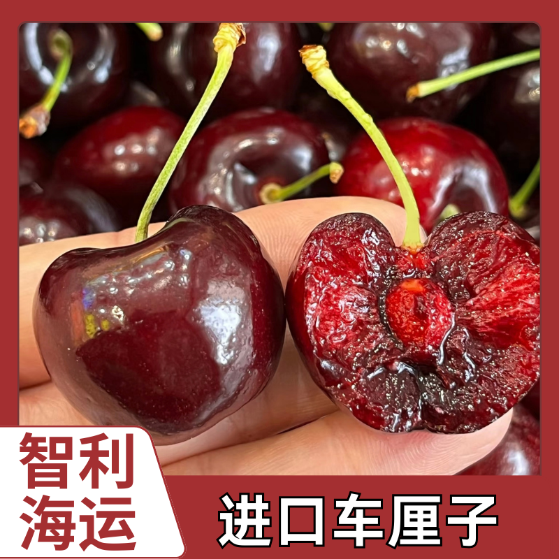 【5斤原箱】顺丰京东发货 海运智利桑提娜车厘子3J/3JD内附果径卡W0