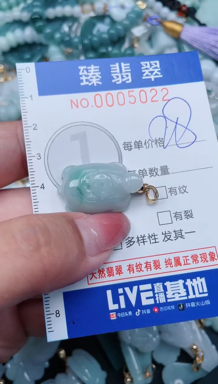 【闪购商品】翡翠颈饰未镶嵌.0005022