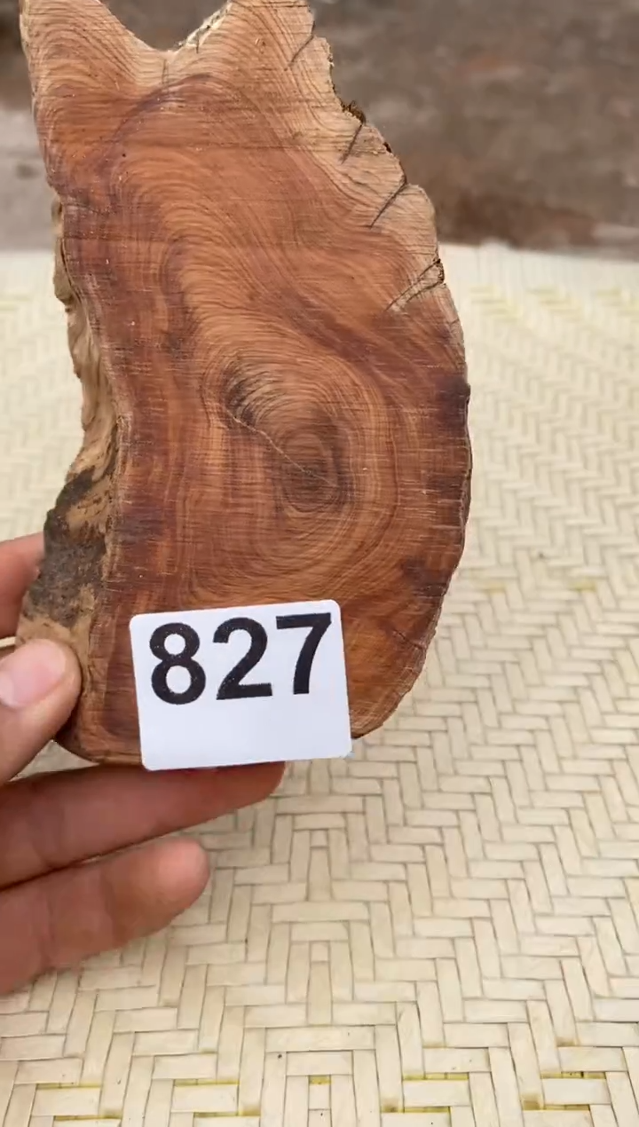 柏木（崖柏）太行陈化崖柏 （1单1片）827