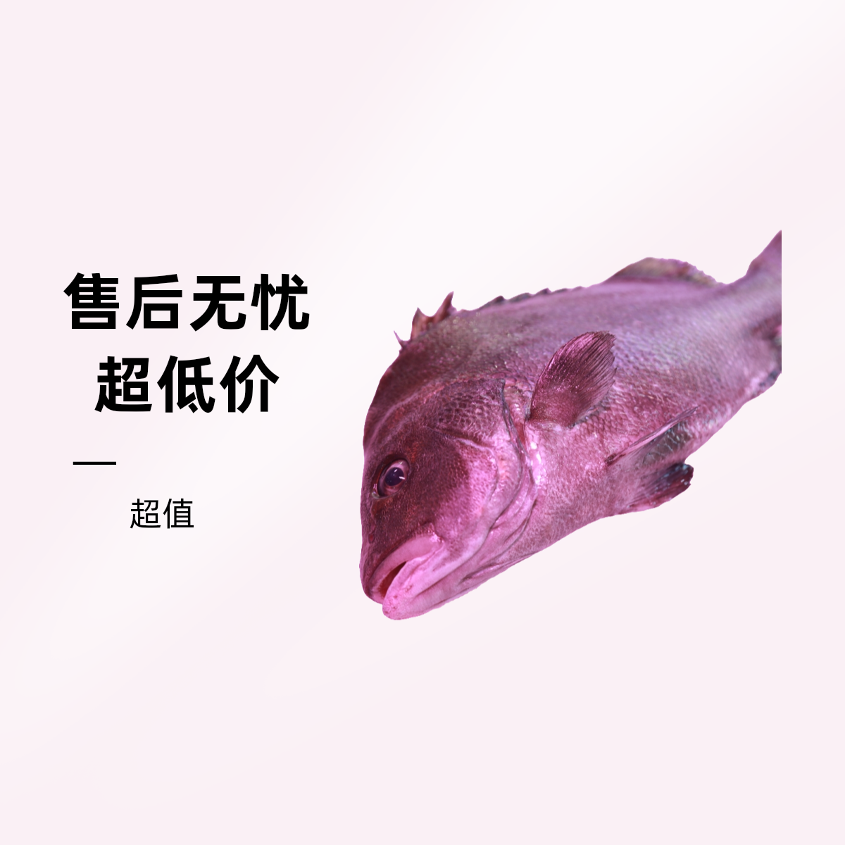 包公鱼（78一条）