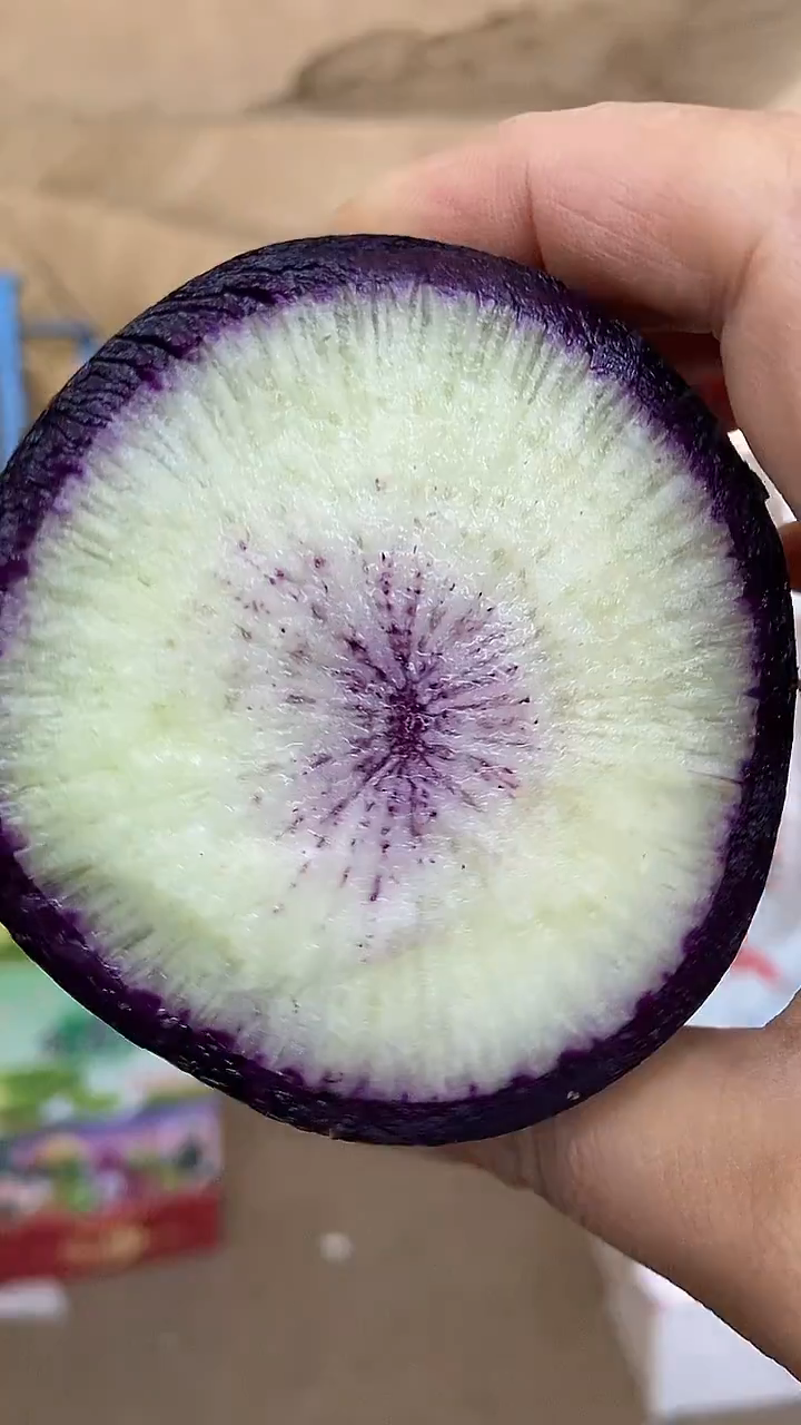 中国大陆冰激凌萝卜快来抢