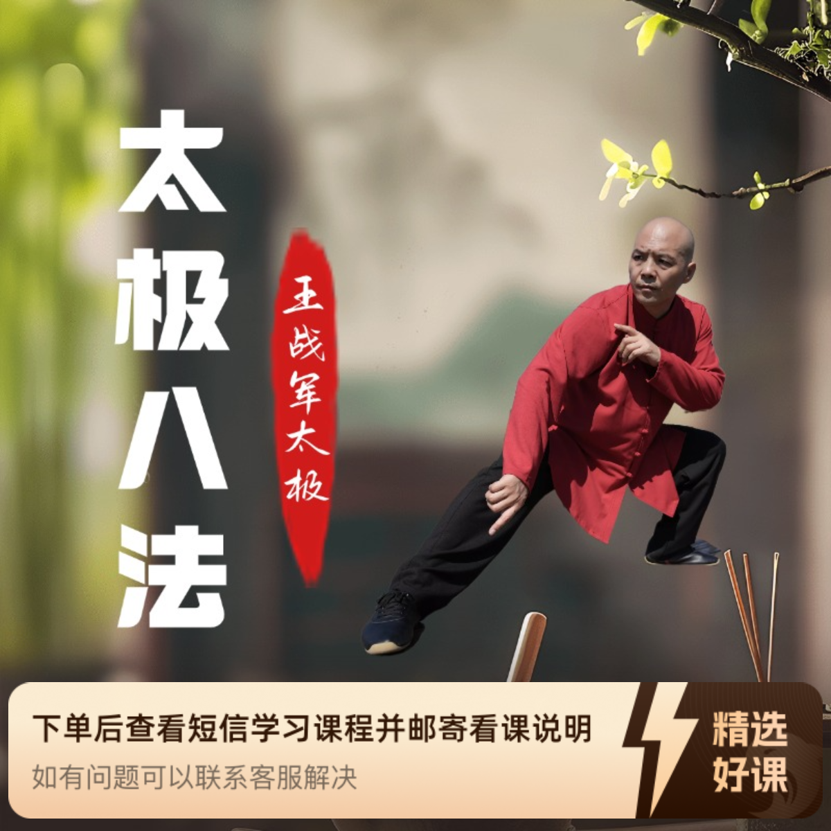 太极八法王战军太极（留意短信解锁课程）