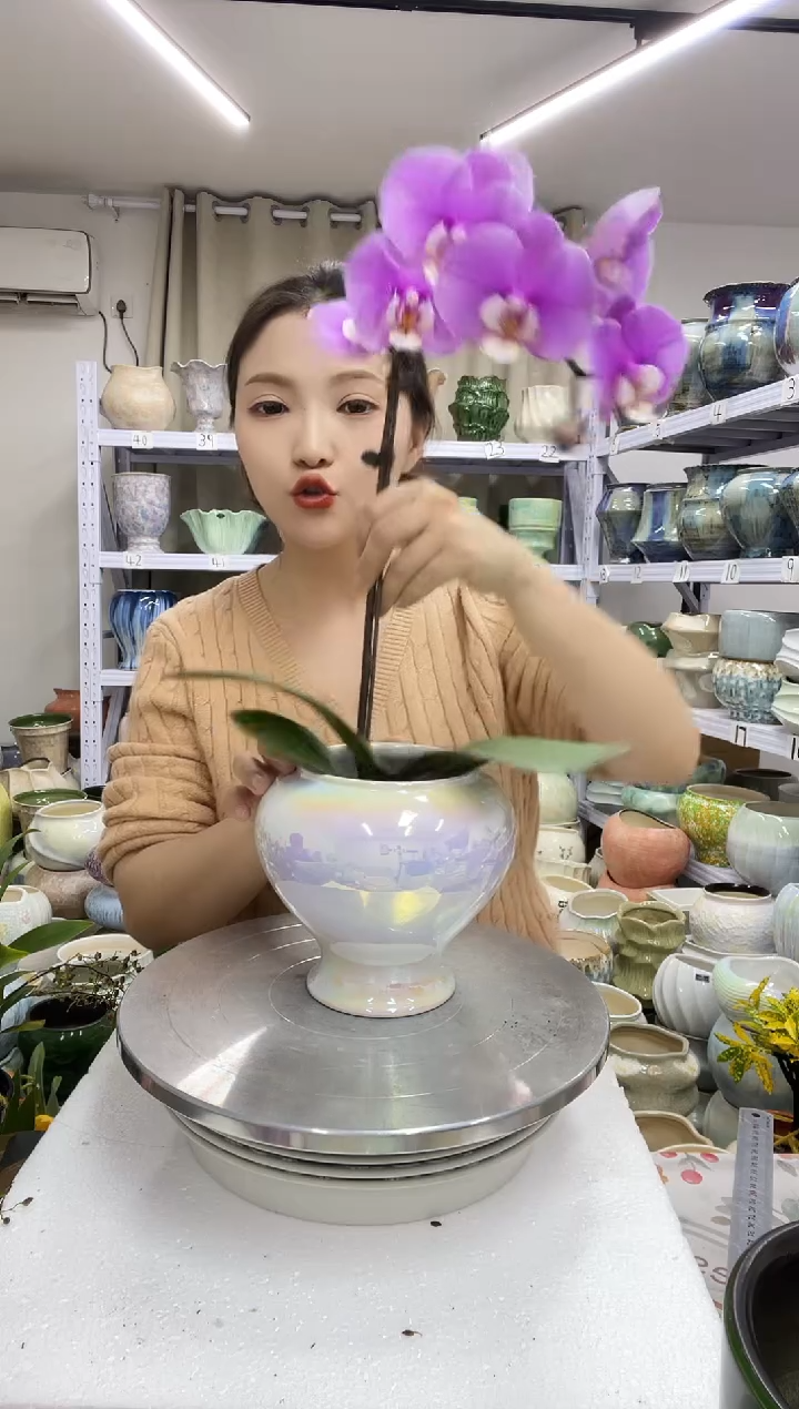 【12.23】花盆链接 高： 15 口：10