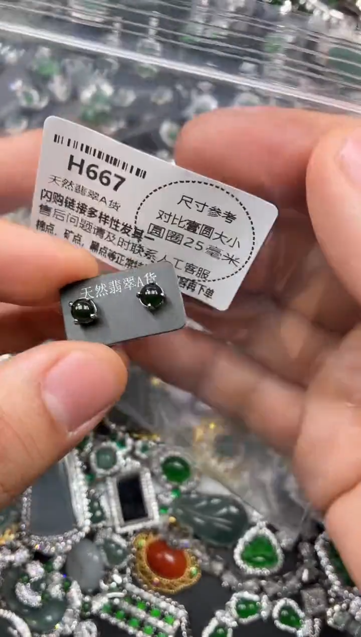 颈饰未镶嵌翡翠H667耳钉