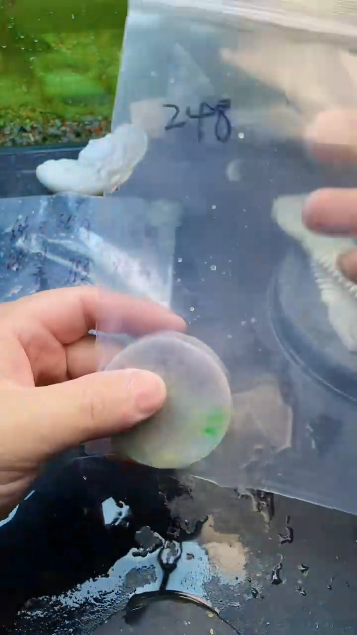 【闪购商品】翡翠颈饰未镶嵌248天然翡翠