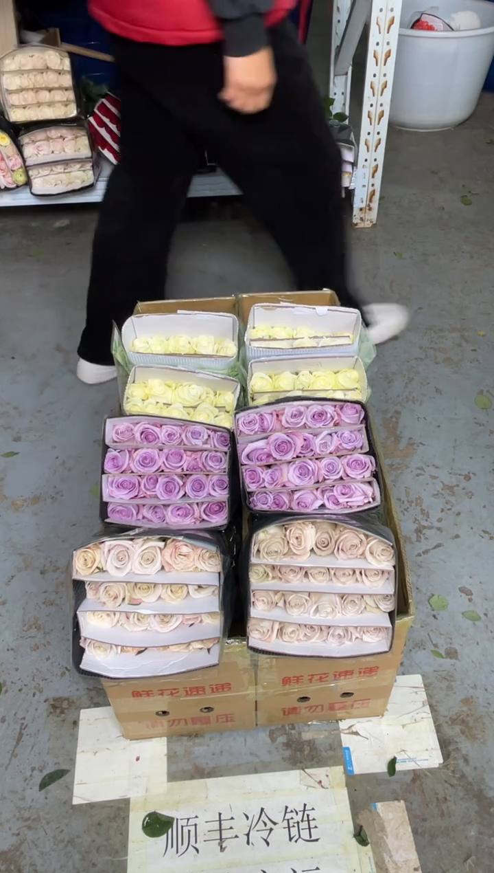 曼塔20枝+海洋之歌20枝+骄傲20枝