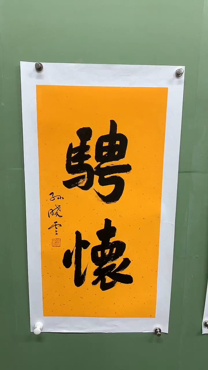 竖款精品书法，骋怀