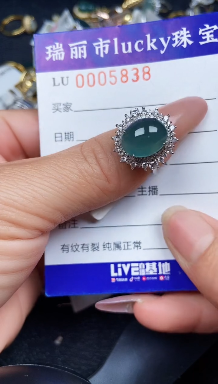 翡翠银S925镶嵌颈饰5838