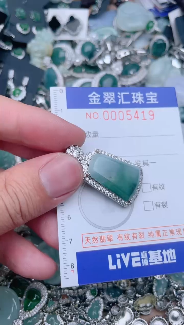 翡翠未镶嵌颈饰5419......1