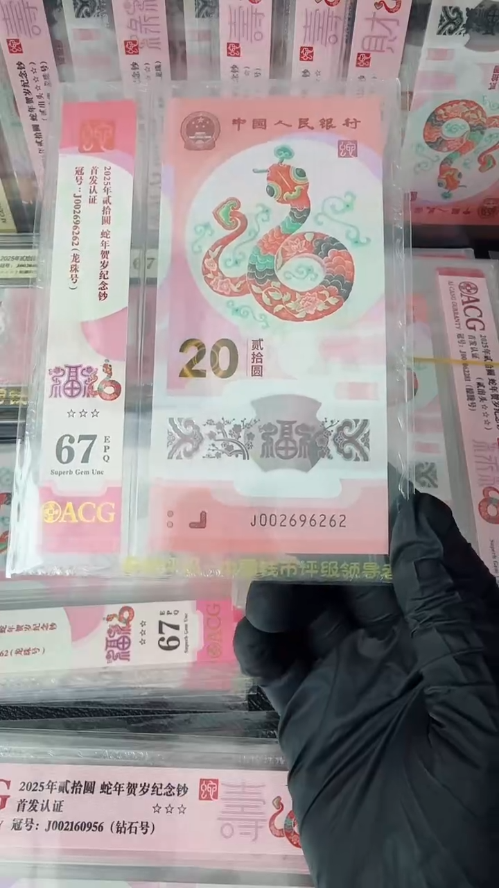 【闪购商品】2025年蛇钞单张J002696262
