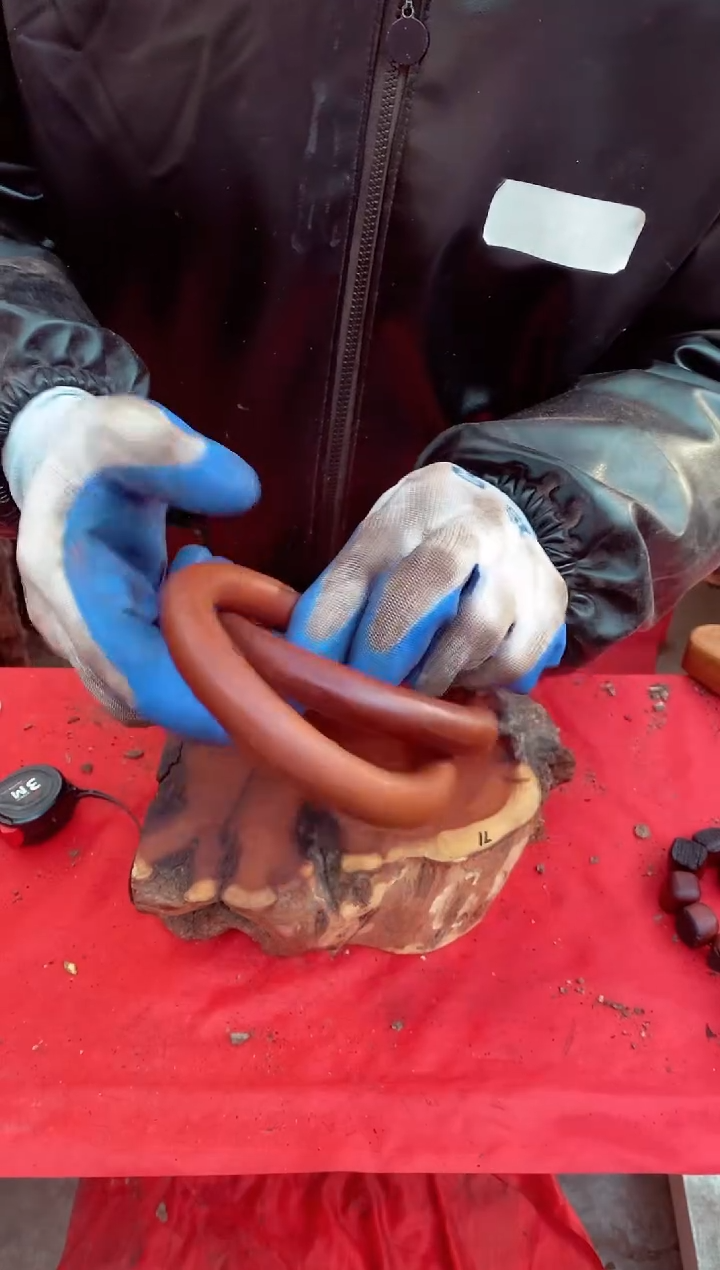 【闪购商品】枣木【福利圈带裂纹】号原木段，尺寸随行