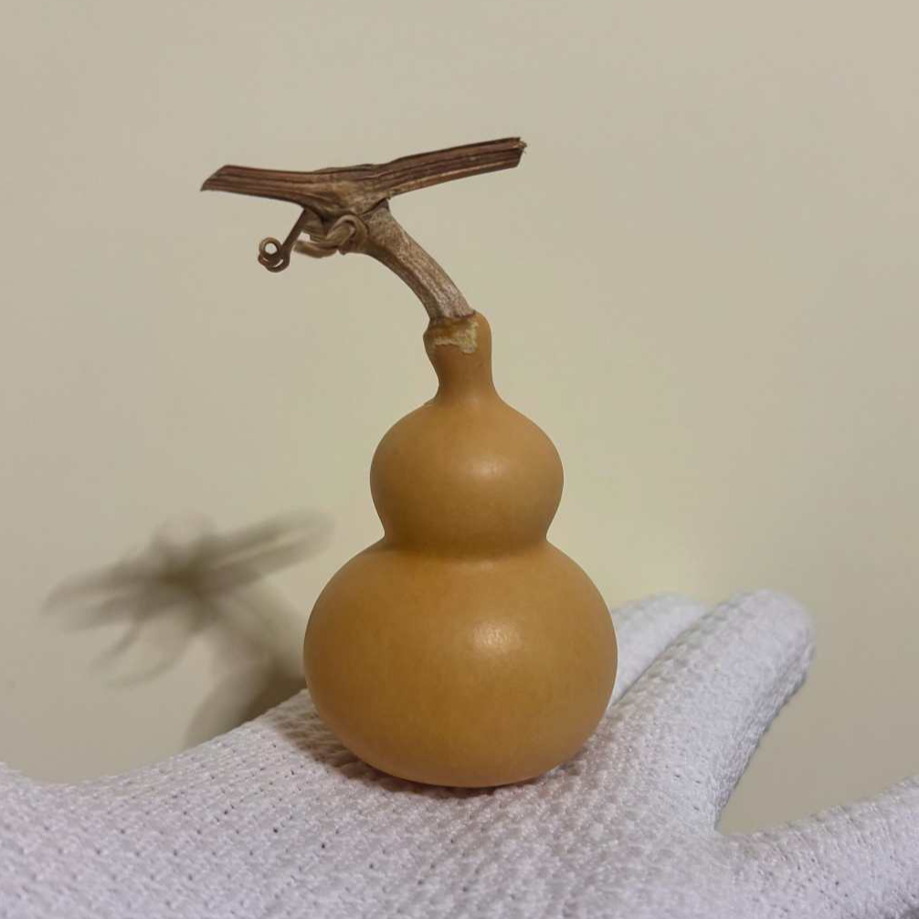 2号链接  直播间下单专用（100↑）