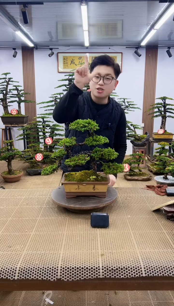 【闪购商品】一物一拍，所见即所得