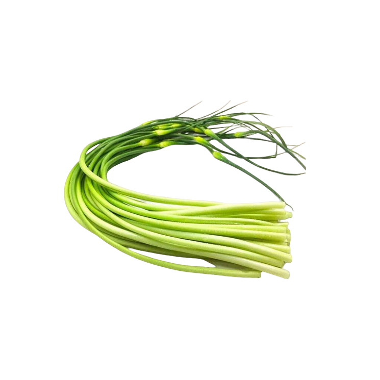精品蔬菜 新鲜蒜苔 1.5斤/份