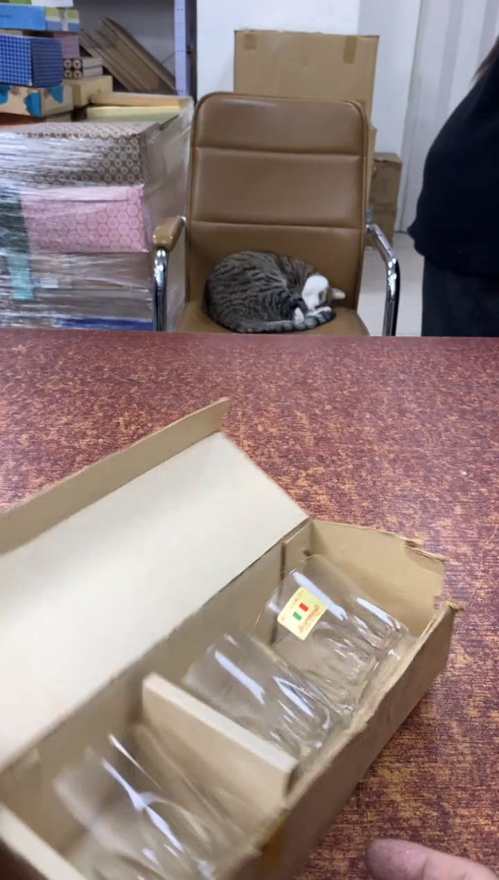 瓷片147小林轩欢迎您