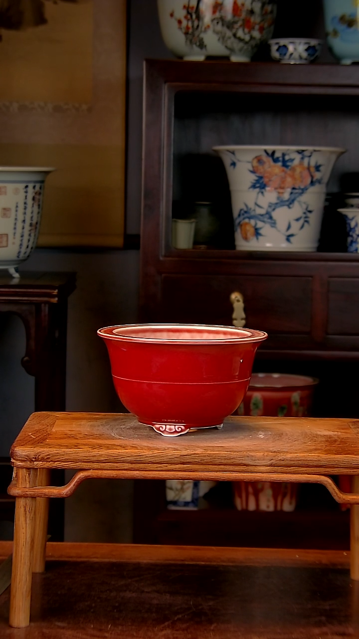 【闪购商品】红陶1