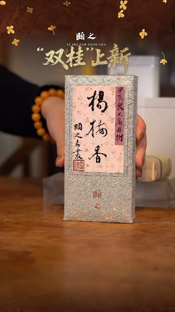 陶杨梅香母树单泡