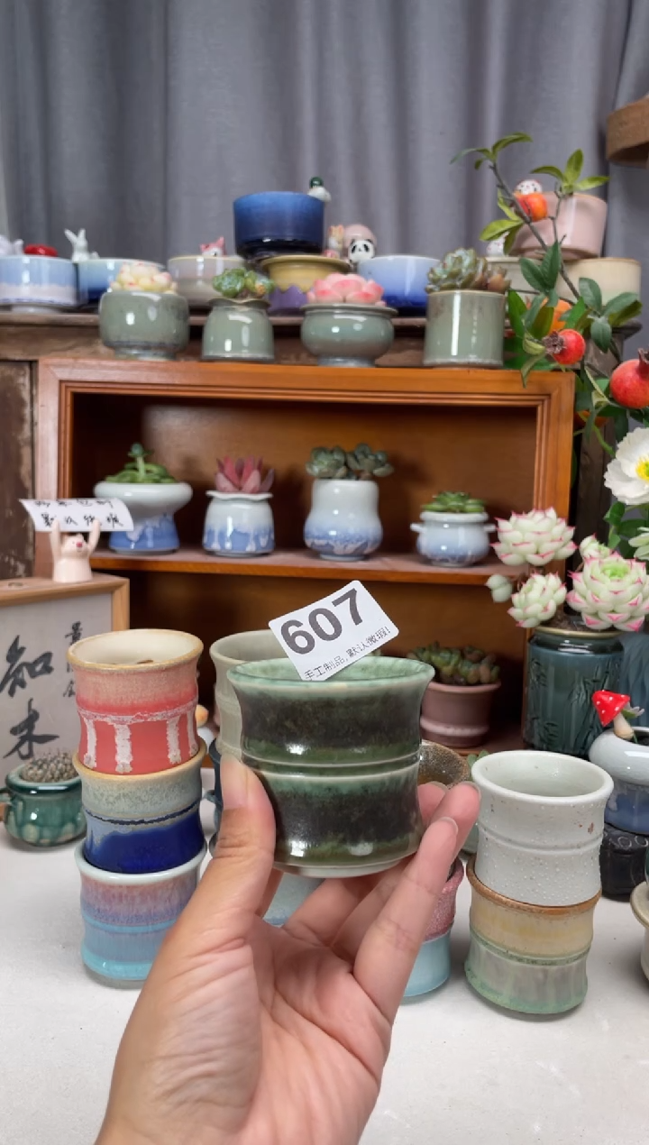 瓷片?****?607知木花盆小芳