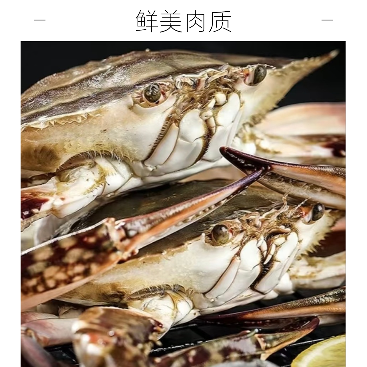 【舟山本地梭子蟹母蟹8】流网全母蟹液氮超低温 单只4-6两左右4斤到手8只【冻蟹】