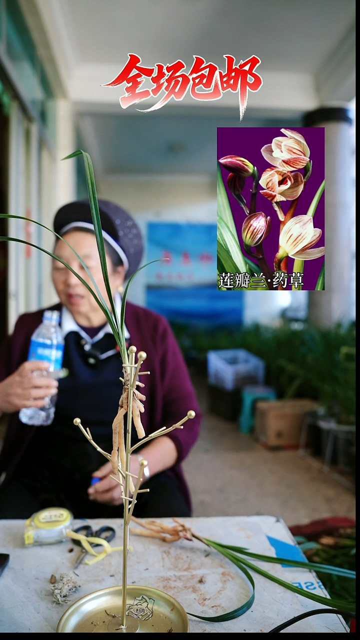 当前无花栽培后可以开花药草