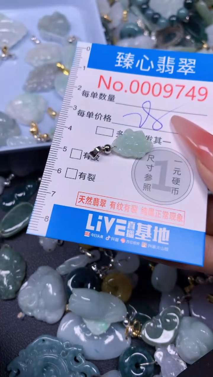 【闪购商品】翡翠颈饰未镶嵌含绳0009749