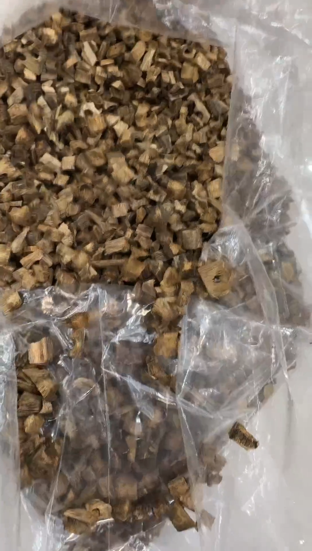 白露树心油原材料50克