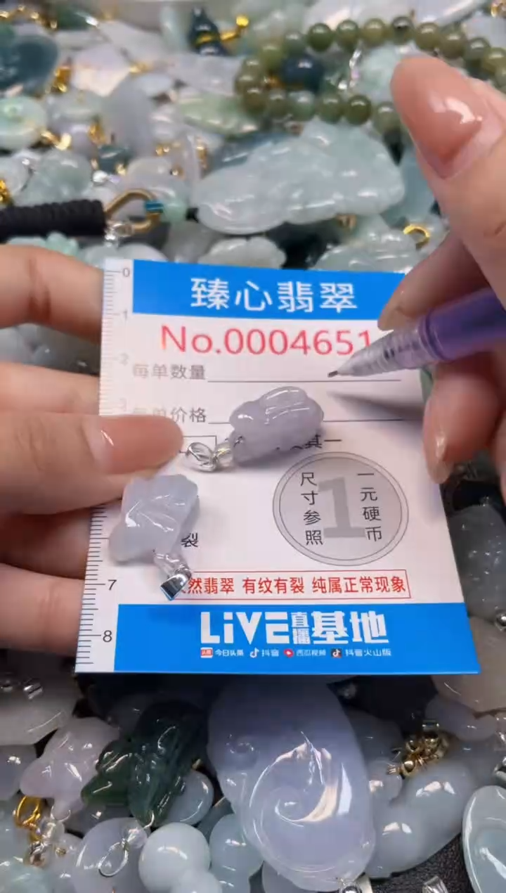 颈饰未镶嵌翡翠4651