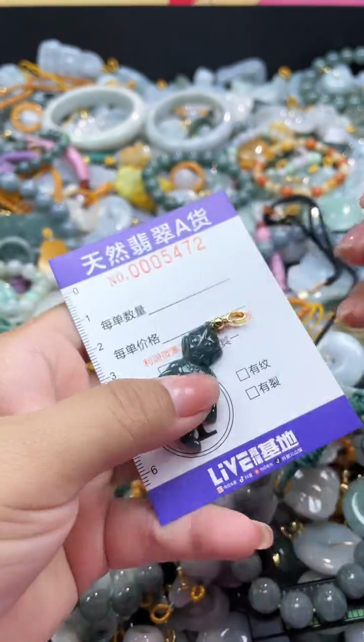 翡翠未镶嵌颈饰05472