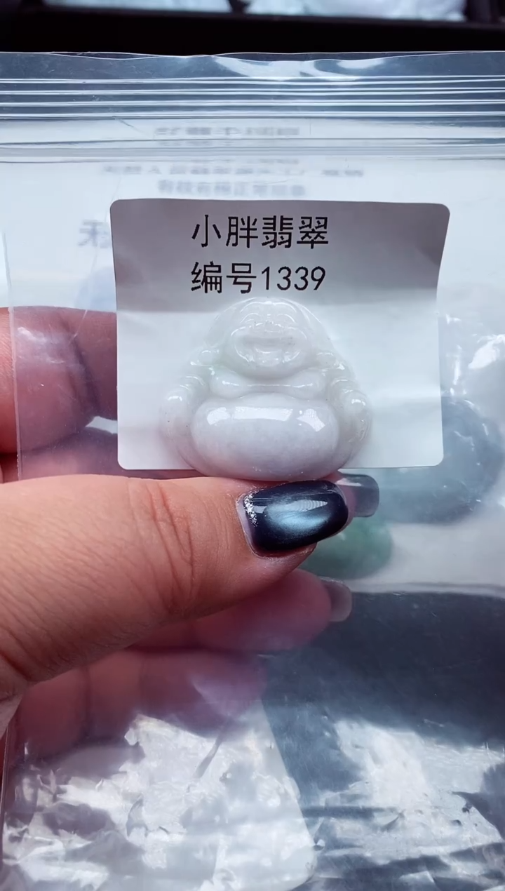 颈饰未镶嵌翡翠缅甸天然A货翡翠1339