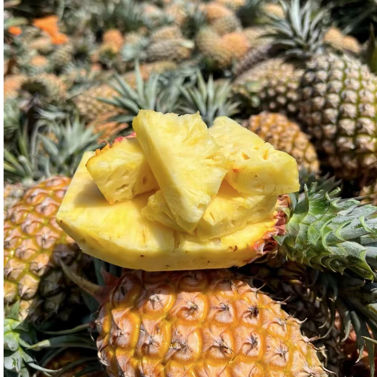 海南正宗金钻凤梨17号香甜多汁当季热带水果 产地直发