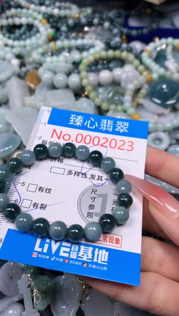 【闪购商品】翡翠颈饰未镶嵌含绳0002023