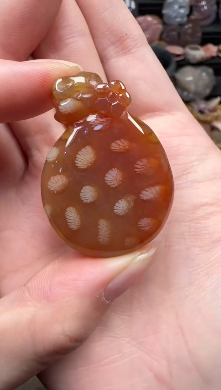 颈饰未镶嵌硅化珊瑚（珊瑚玉）168