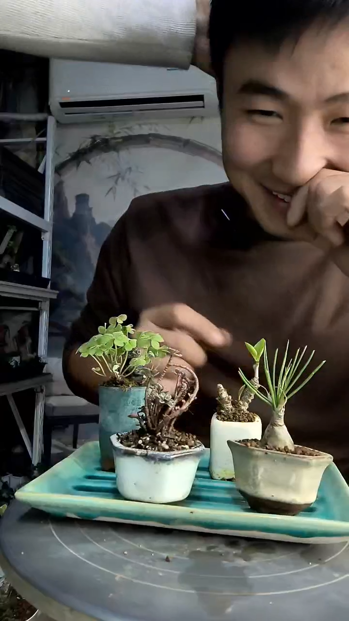 瓜**糖中青园艺一物一拍255