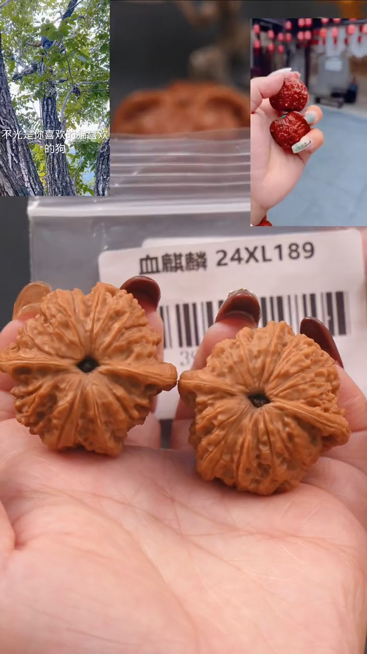 【闪购商品】文玩核桃把件39.5血麒麟狮子头