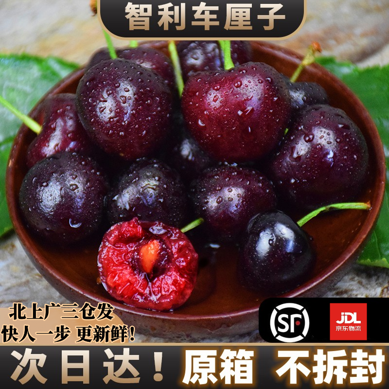 【原箱发货】智利车厘子JX海运进口拉宾斯3~5J整箱5斤 内附果径卡