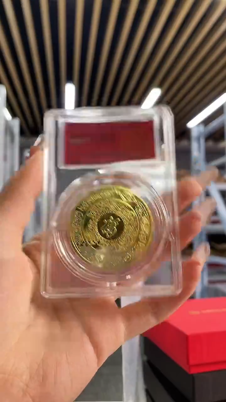 其他普通金属转转龙纪念章