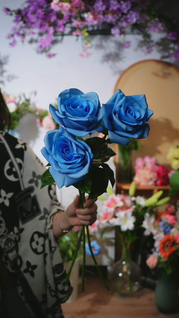 3枝蓝色手感保湿卡罗拉